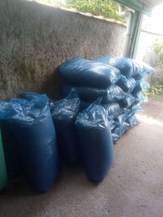 Sacos de cascas de arroz - Foto 5