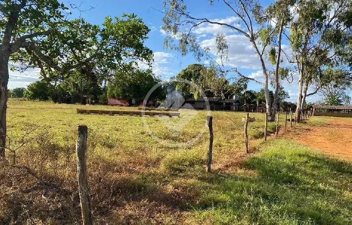 Fazenda com 10 Alqueires em Bela Vista de Goiás codigo: 85507 - Foto 6
