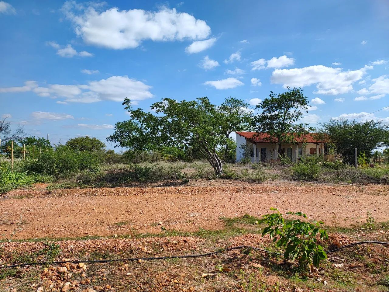 Lote para chácara na beira do rio! - Foto 5