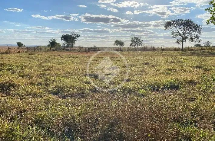 Fazenda com 10 Alqueires em Bela Vista de Goiás codigo: 85507 - Foto 5