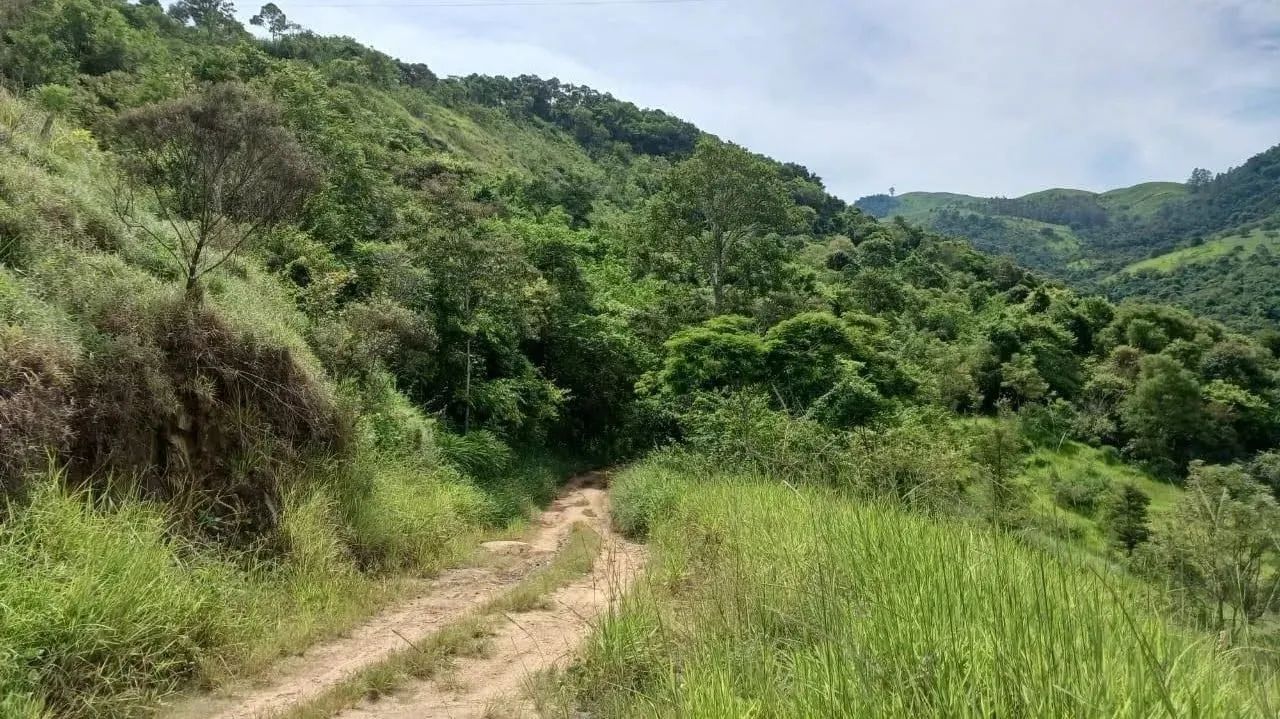Fazenda em TRAJANO DE MORAES - Trajano de Moraes - Foto 3