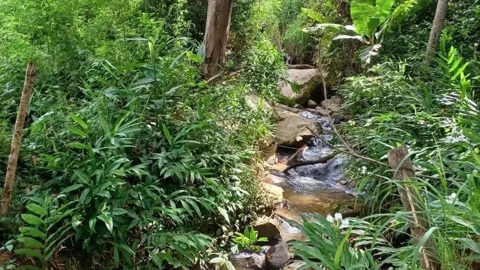 Fazenda em TRAJANO DE MORAES - Trajano de Moraes - Foto 2