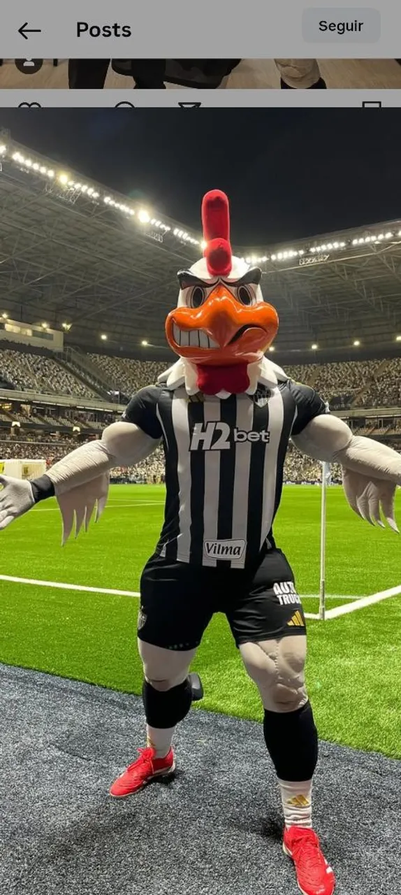 Confecção de mascotes e personagens infantis