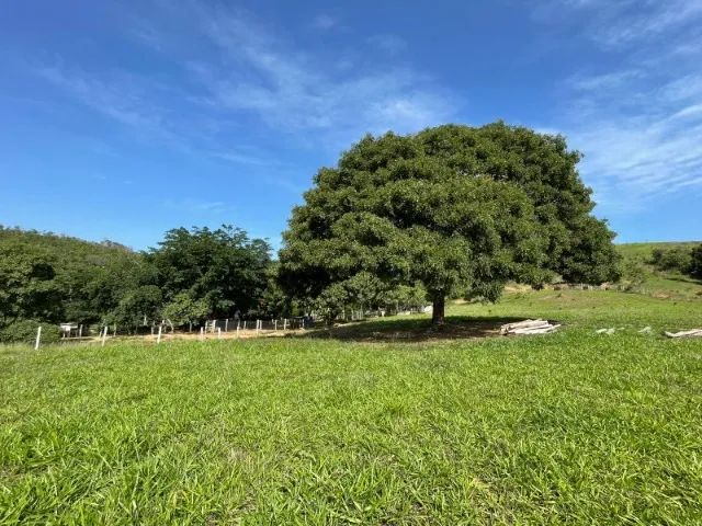 Fazenda à Venda Região nobre do TOCANTINS. - Foto 7