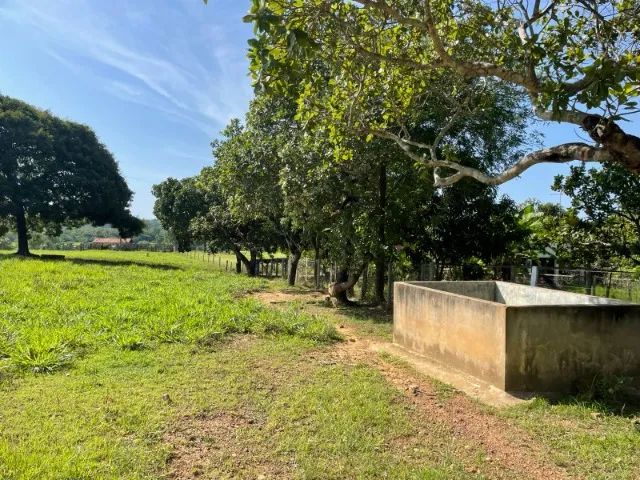 Fazenda à Venda Região nobre do TOCANTINS. - Foto 15