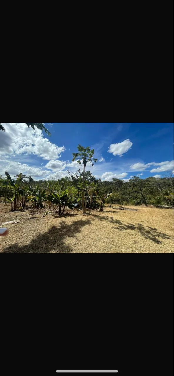 Foto - Brasília - Setor de Mansões do Lago Norte