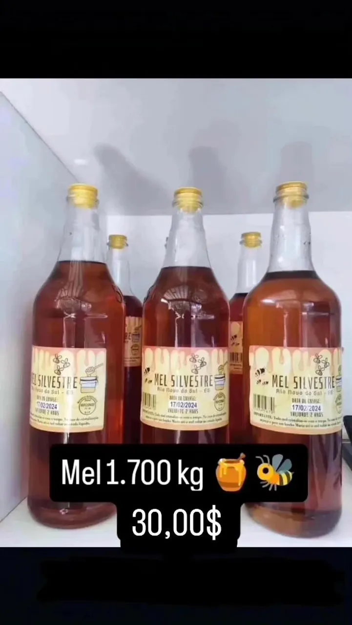 Mel Silvestre - 1,700 kg - Rio Novo do Sul