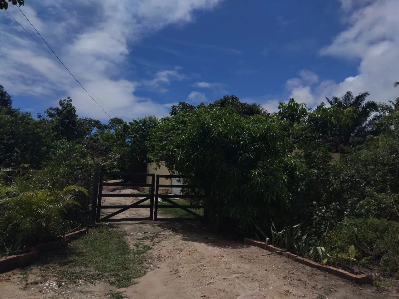 Venda de terreno  - Foto 3