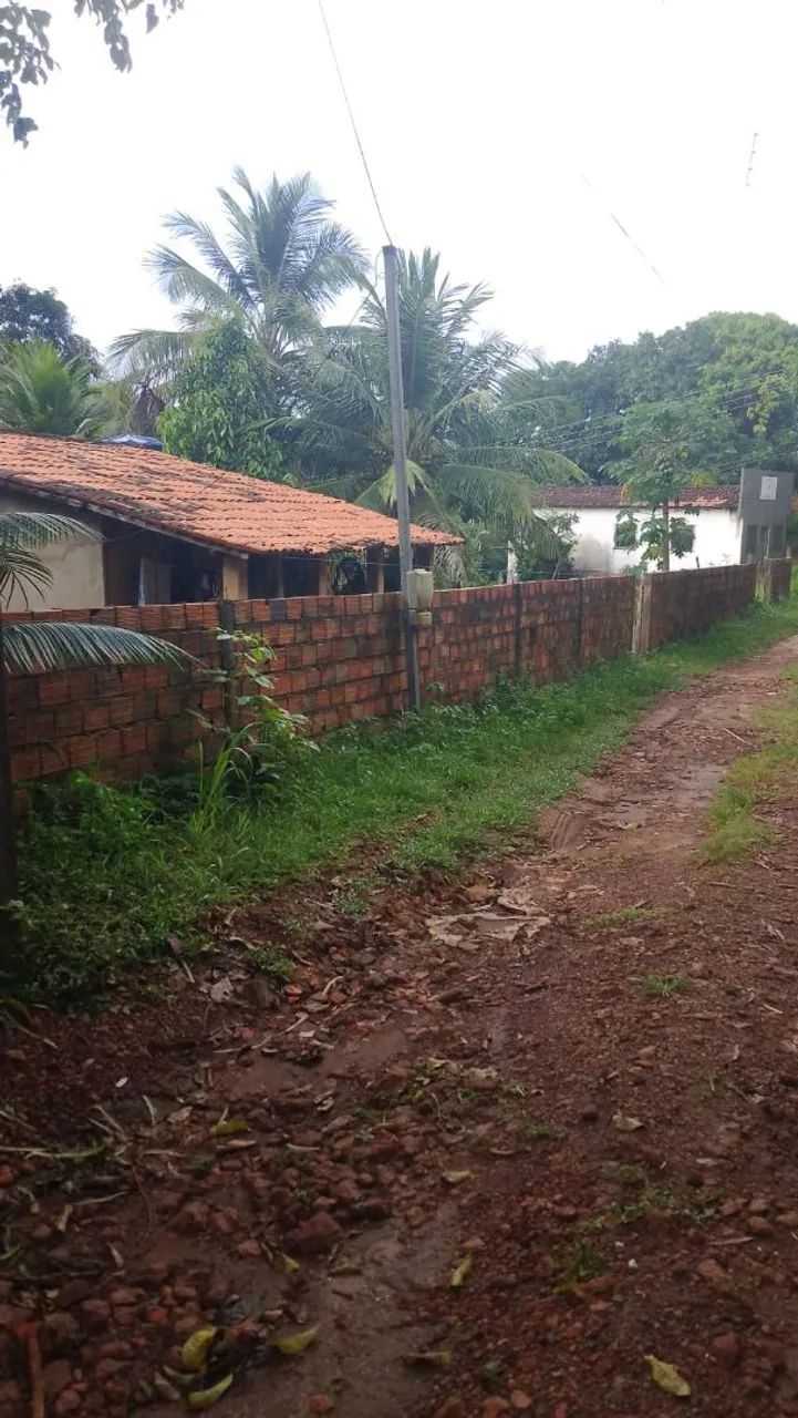 Foto - São Luís - Anjo da Guarda