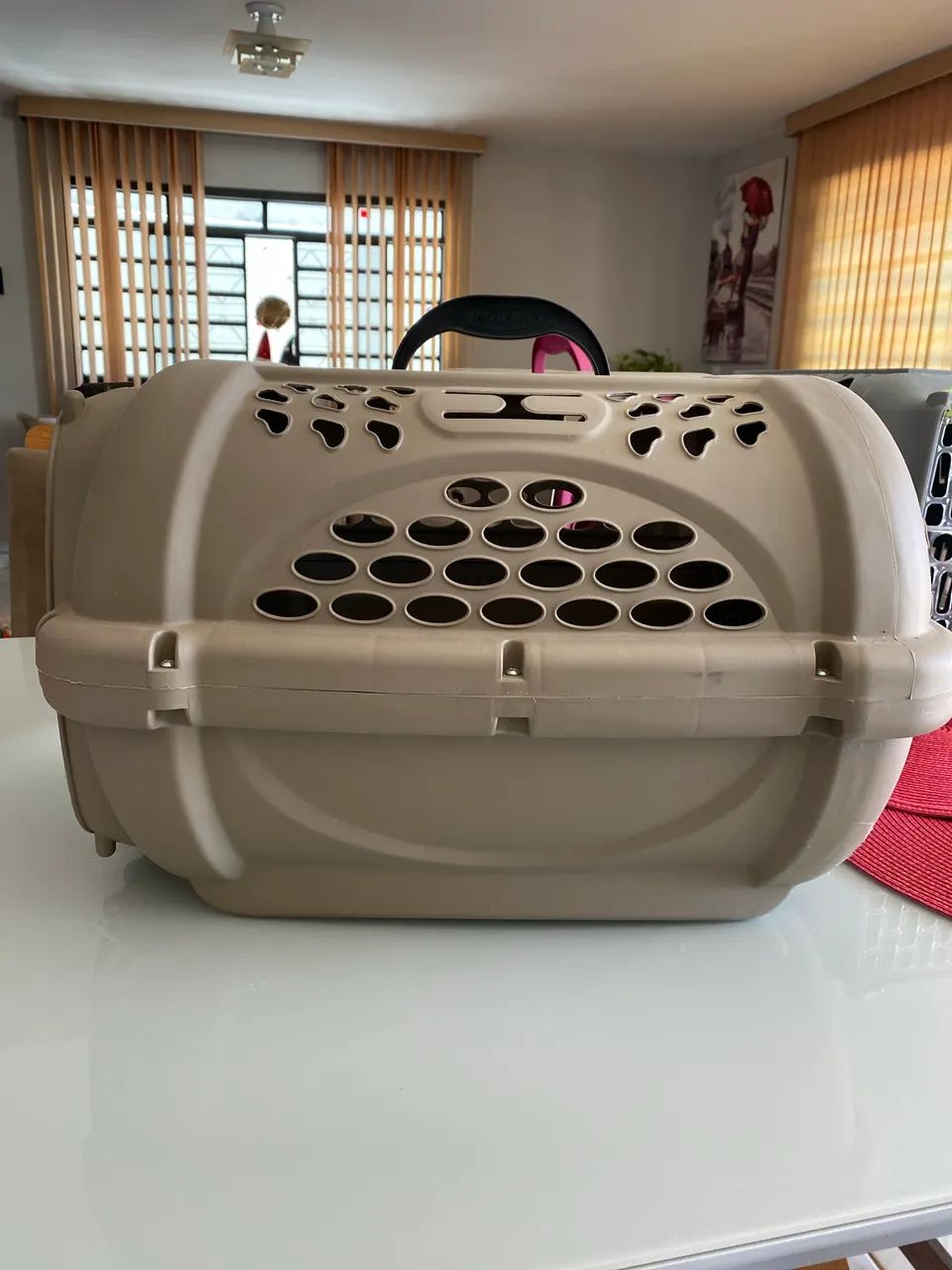 Caixa de transporte pet - Foto 2