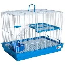 Doação coisas para porquinho da índia 64842117963009120