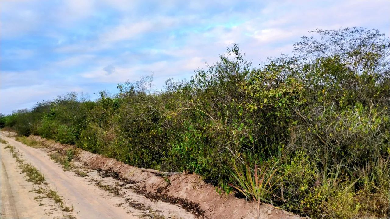 Terreno de 5 Tarefas  - Foto 3