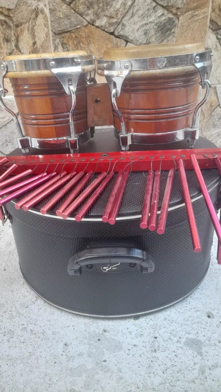 Bongo Raul + Carrilhão Raul com case.