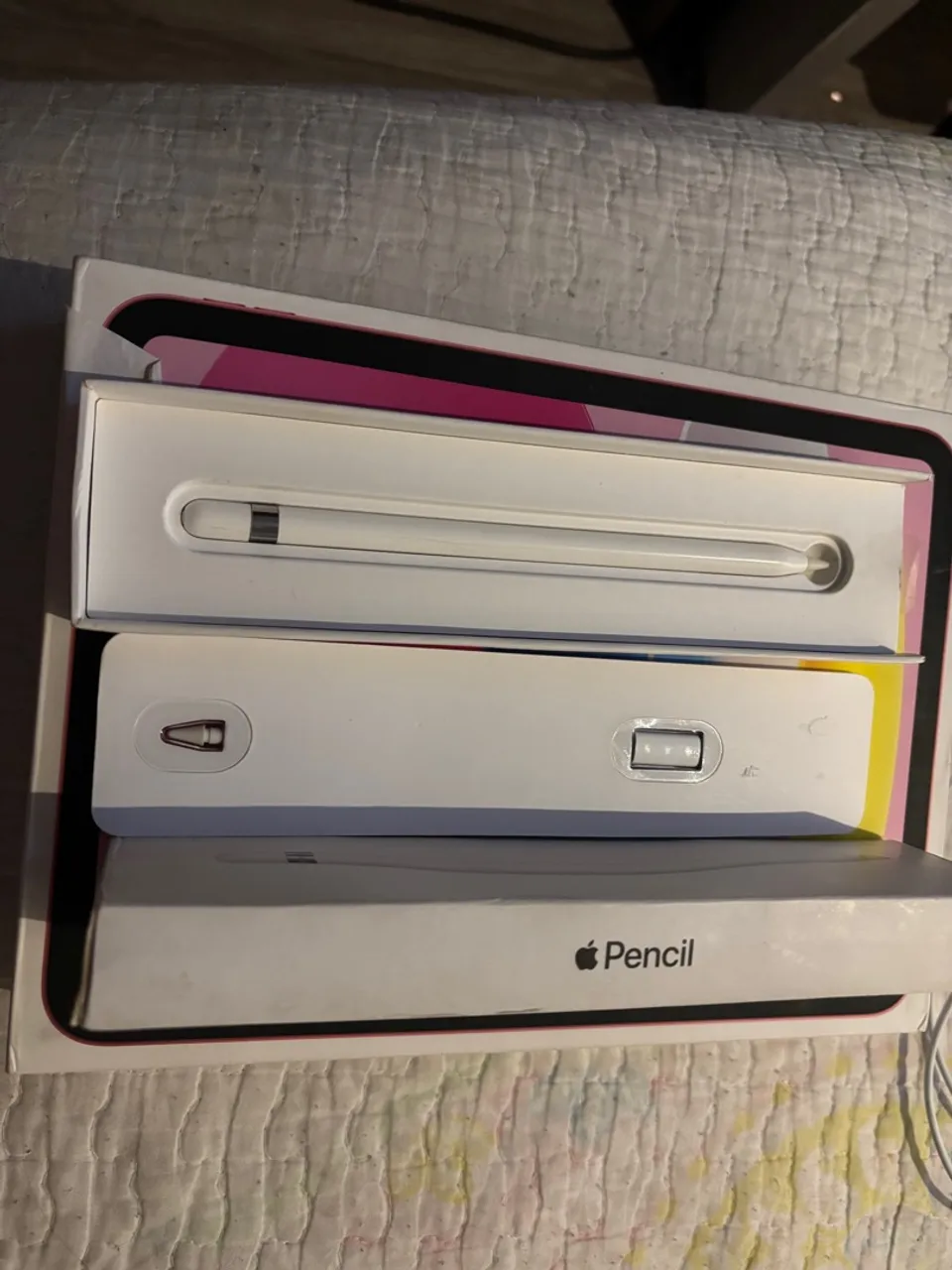 Apple Pencil 1ª Geração