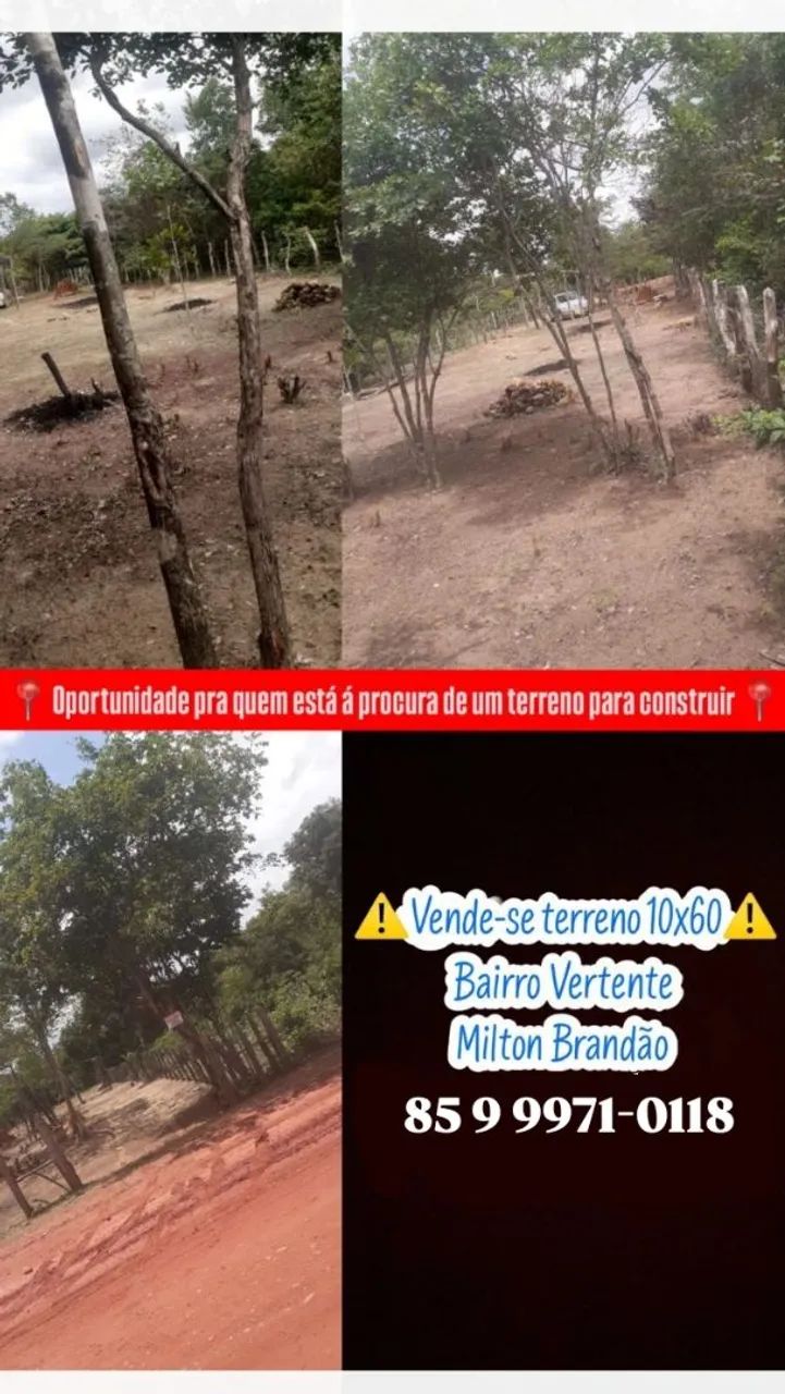 Terreno 