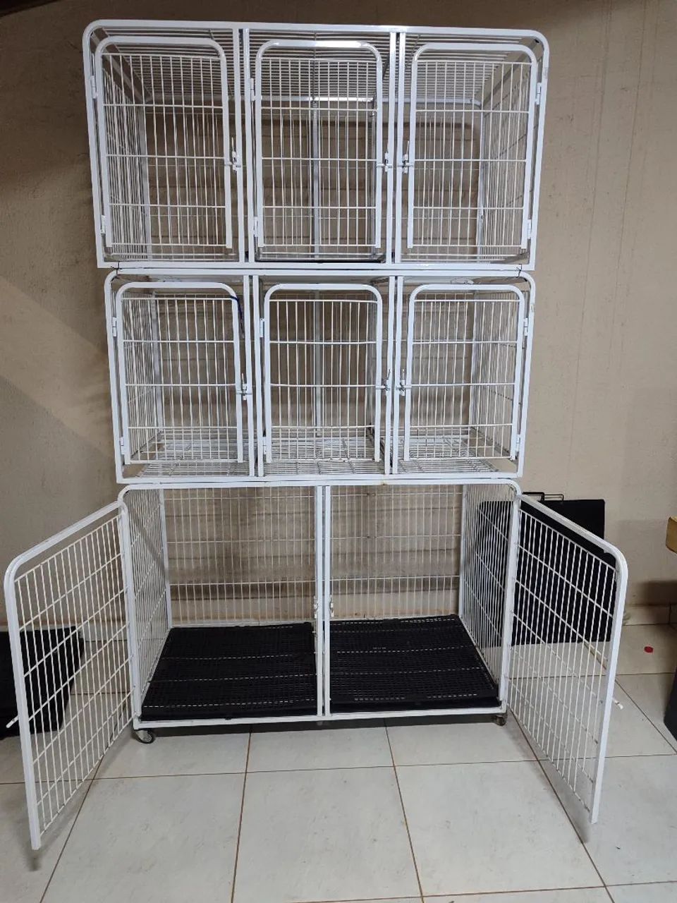 Banho e Tosa