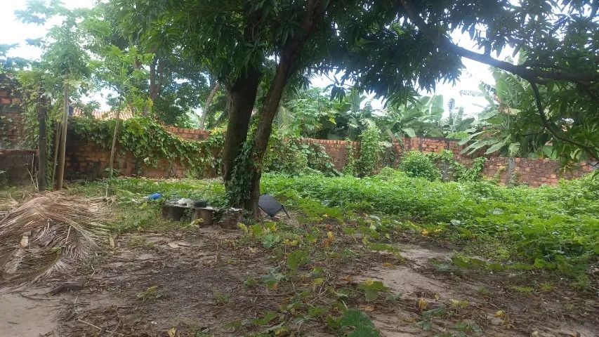 Vendo terreno na Raposa/Araçagi 450 M2