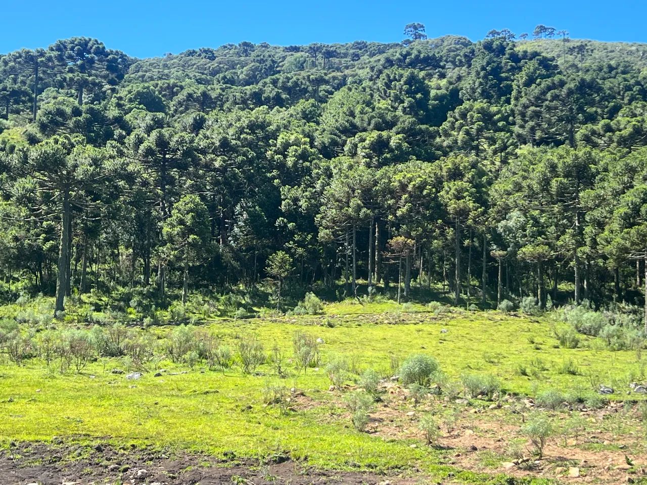 Terreno com açude e vista em Urubici SC - Foto 3