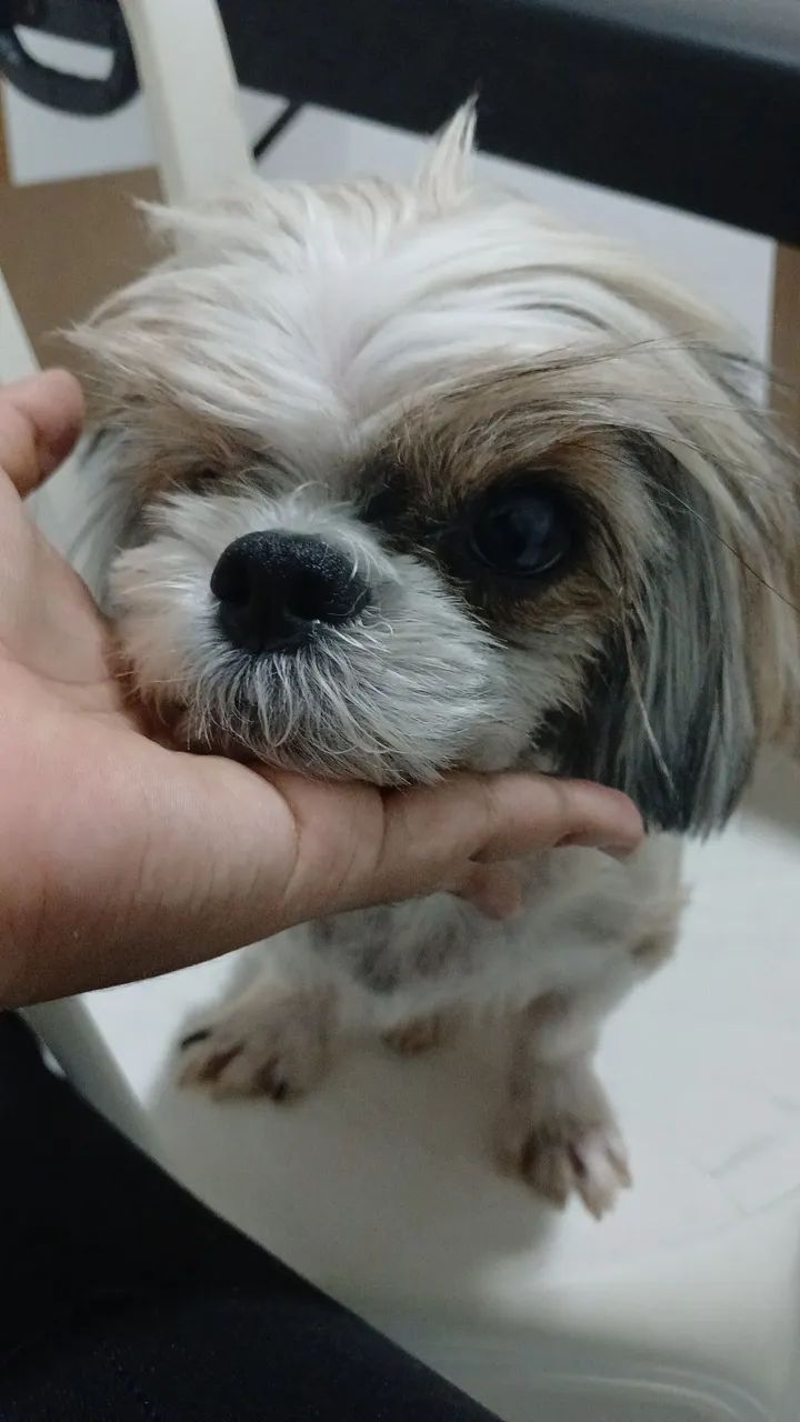 DOANDO STHIZU  - Foto 2