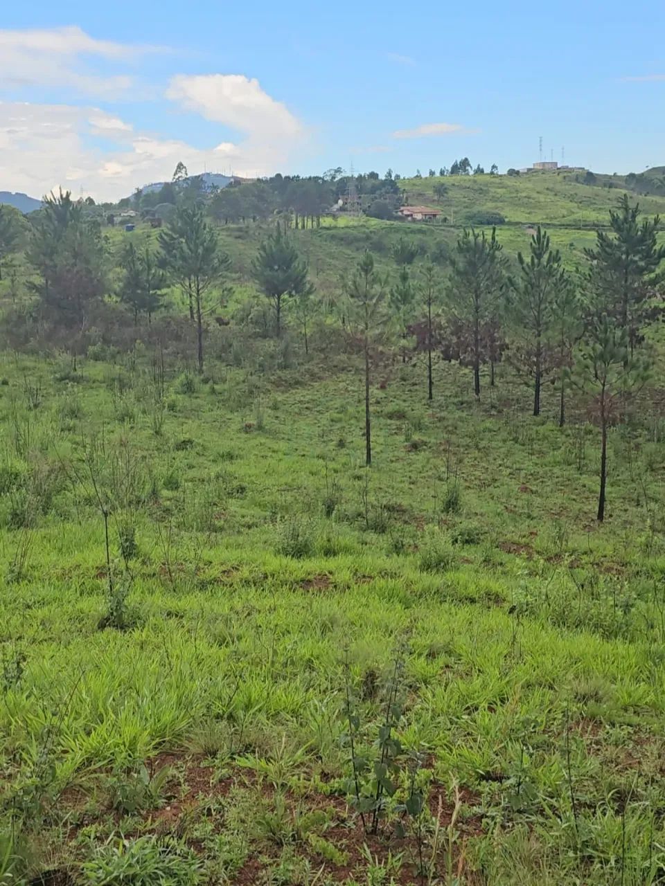 Terrenos Loteamento em Poços de Caldas