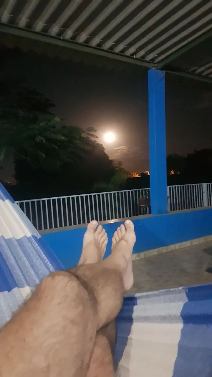 Chácara 5 mil M2. - Foto 7