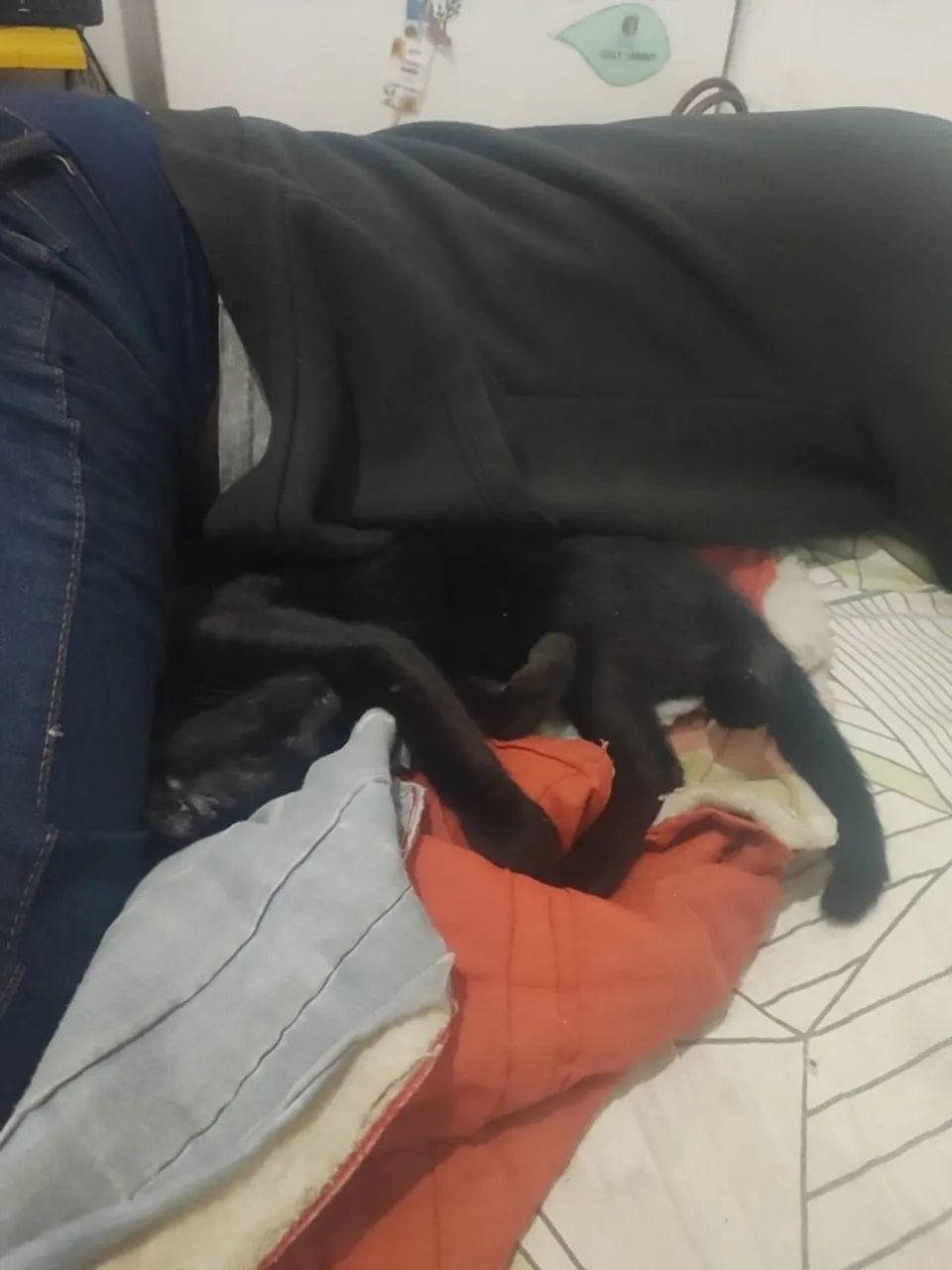 Roupas femininas  - Foto 5