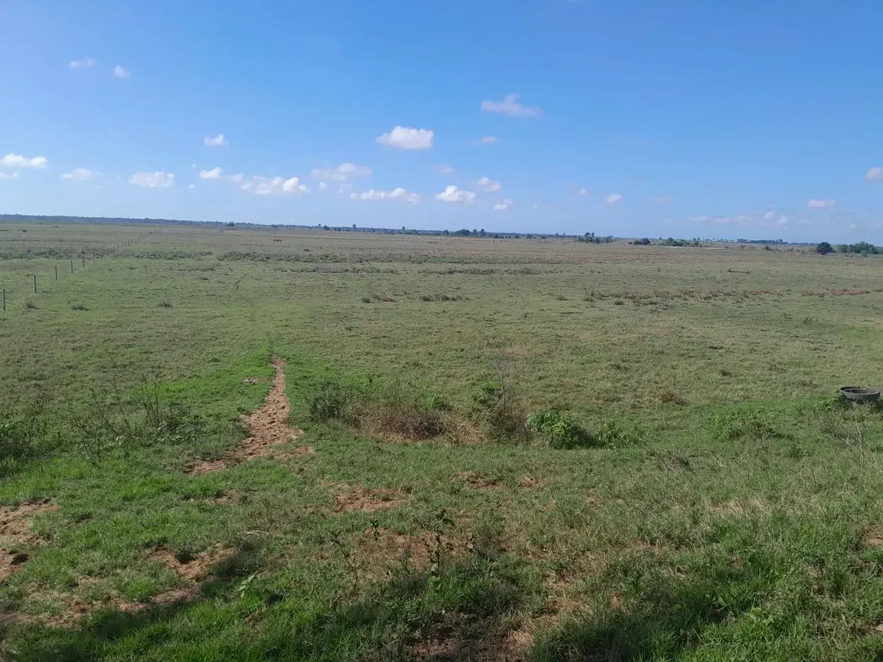 fazenda de Oportunidade - Foto 2