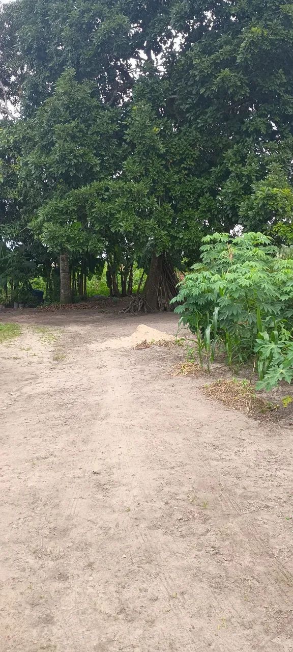 Vendo sítio em Areia branca povoado colônia são Paulo  - Foto 5