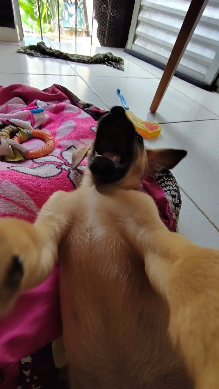 Doação  - Foto 4