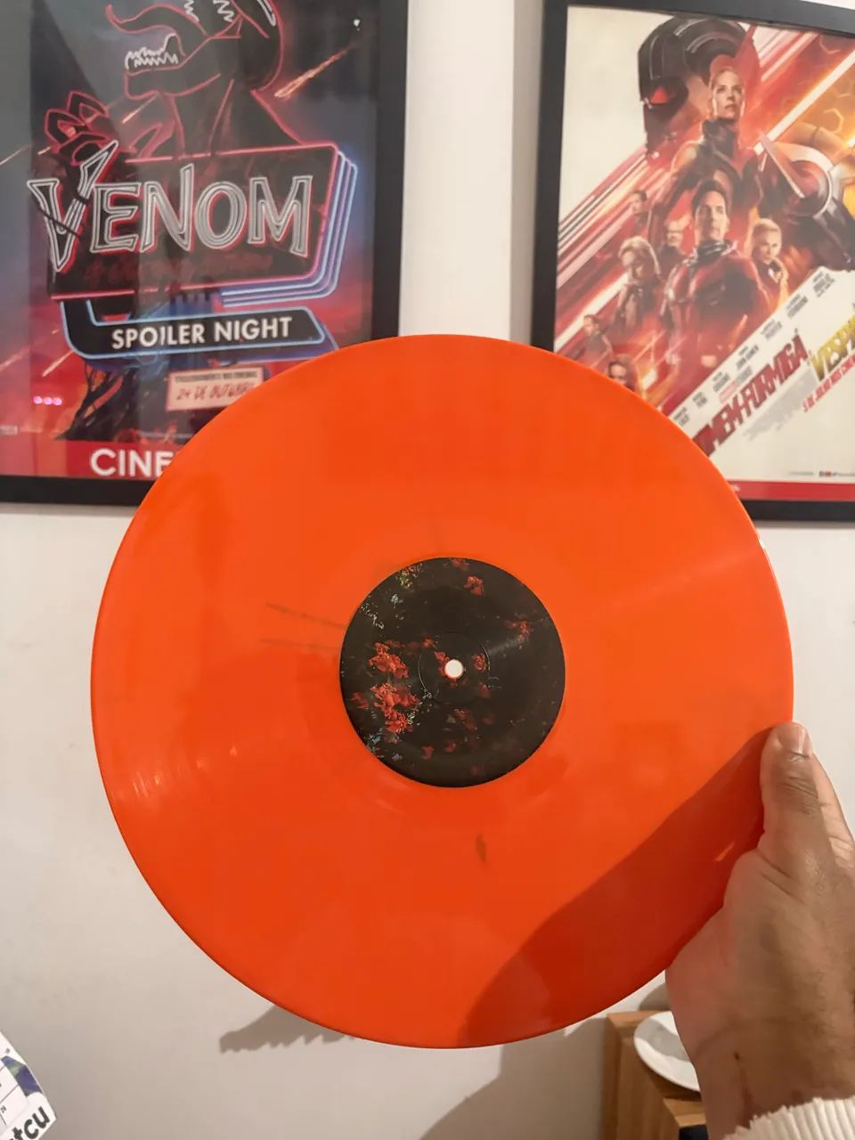 Vinil Paisagem - Tuyo - Foto 3