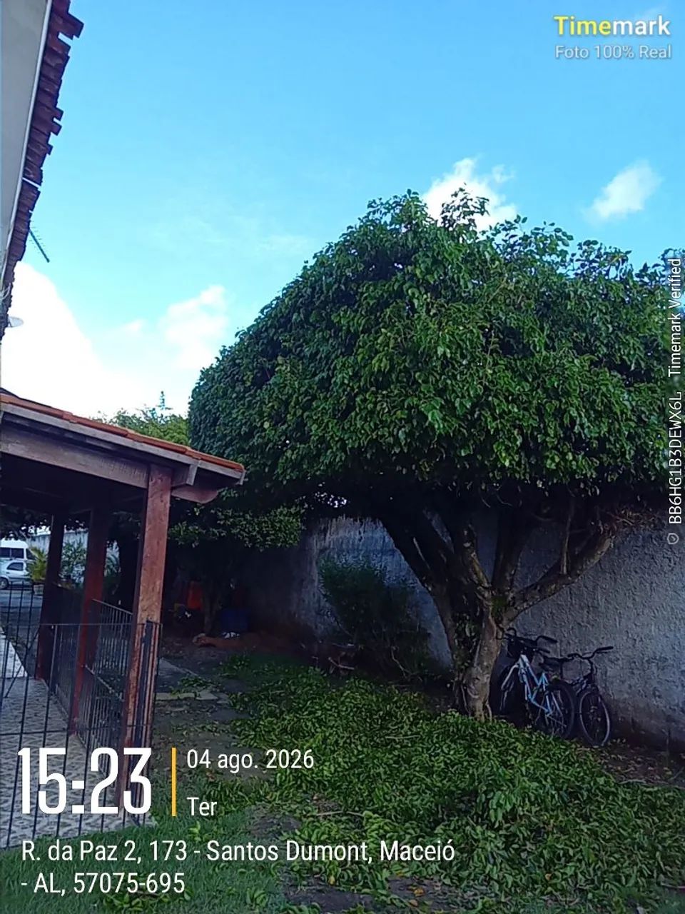 Serviço de jardinagem e podaçao. - Foto 2