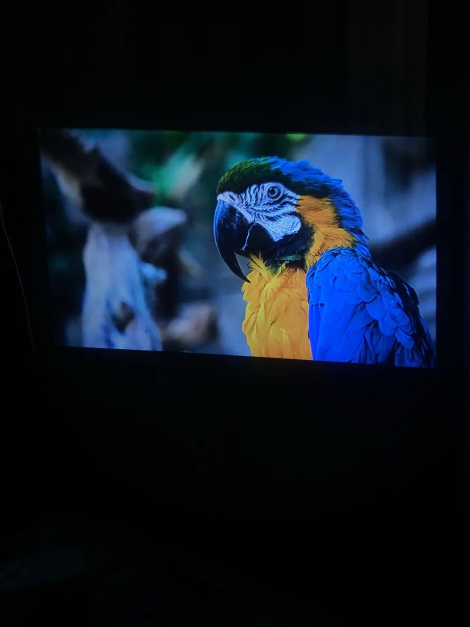 Projetor Idali Life 4K - completo  - Foto 4