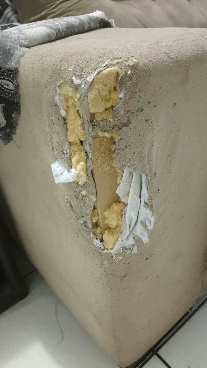 Sofá (Descrição) - Foto 3