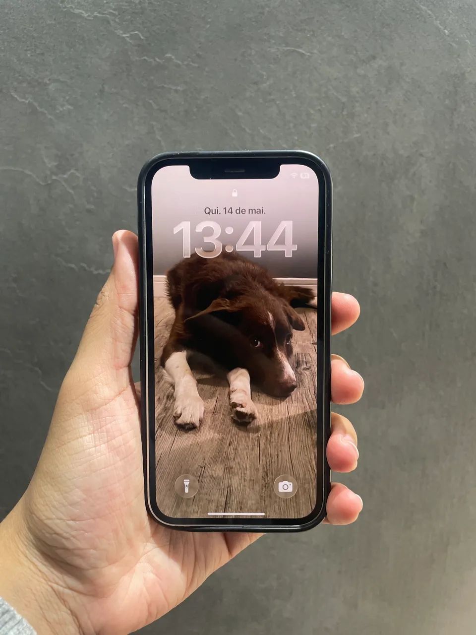 IPHONE 12 64gb - Celulares e Smartphones - Jardim Timbauhy/Aldeia