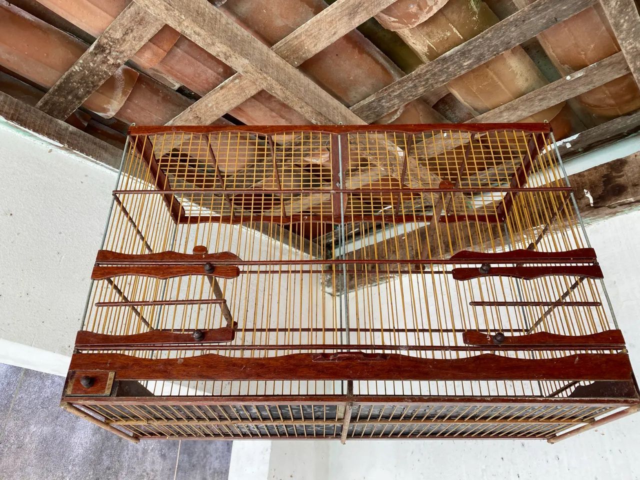 Gaiolas  - Foto 5