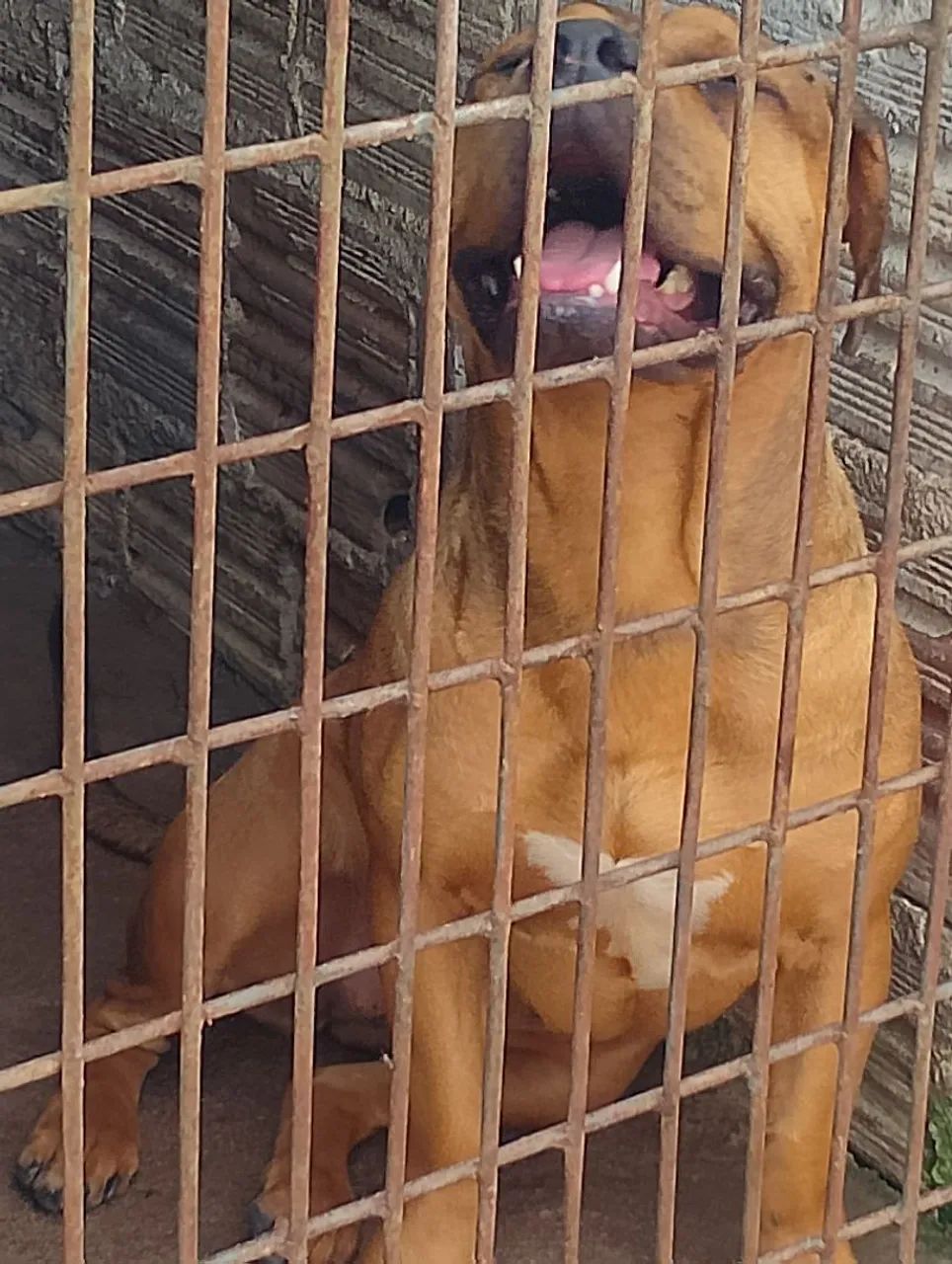pra vende  - Foto 3