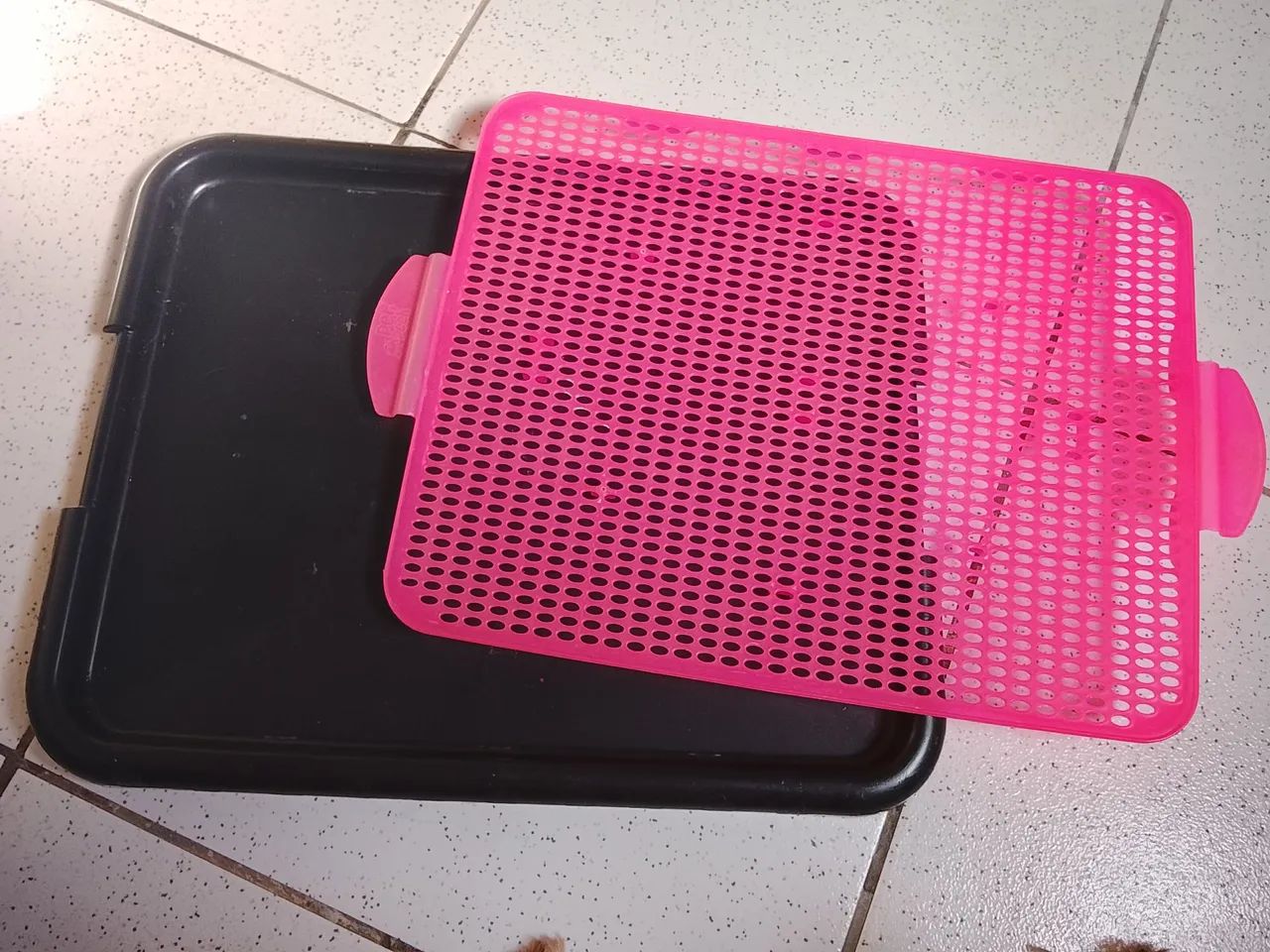 Banheirinho e educador para pet  - Foto 4