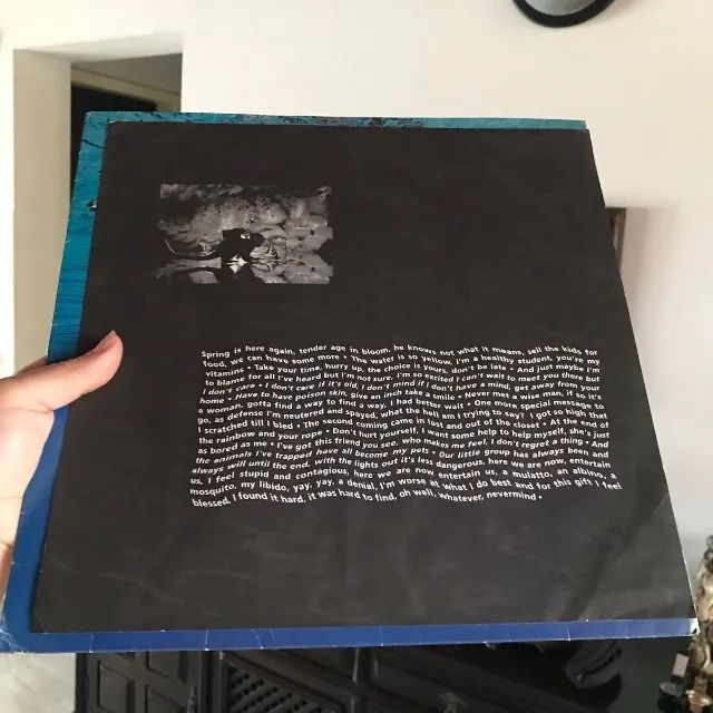 lp vinil - nirvana - nevermind - original 1991 - com encarte - Foto 2