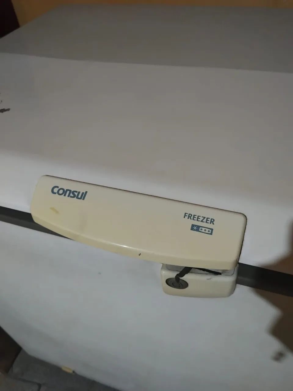 Vendo Freezer cônsul  - Foto 4