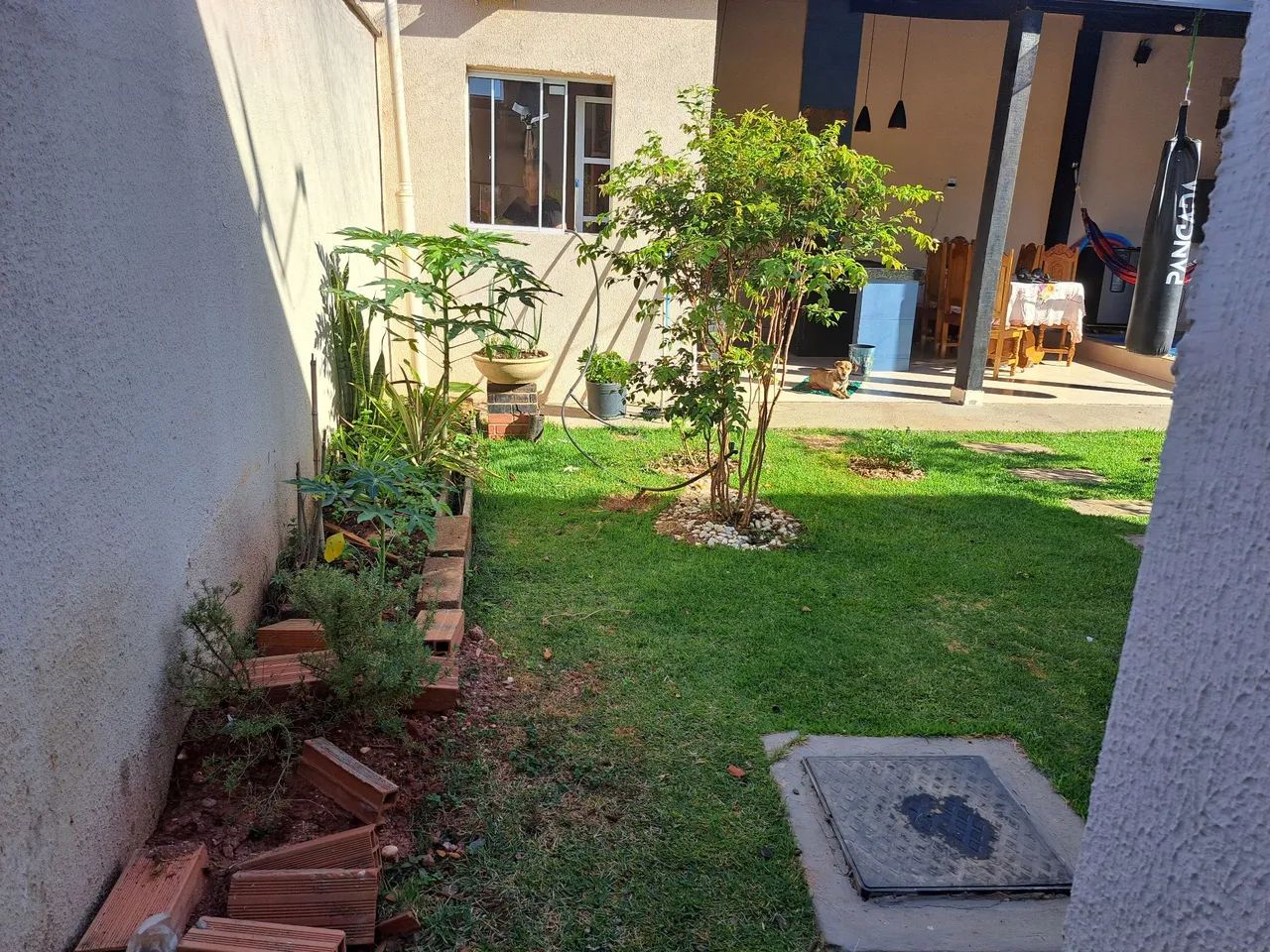Alugo ou vendo - Foto 4