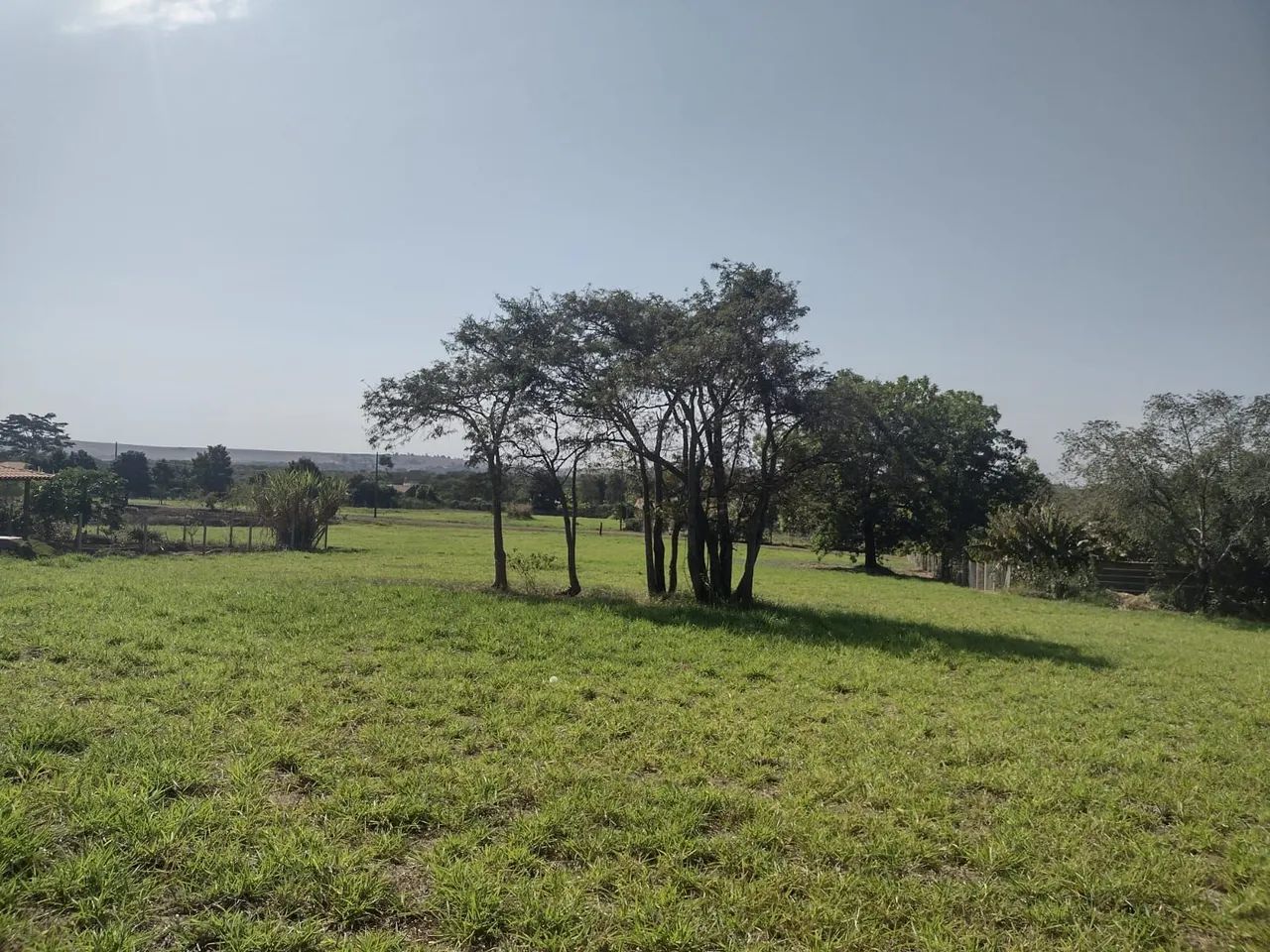 VENDO CHÁCARA EM SERTANÓPOLIS  - Foto 5