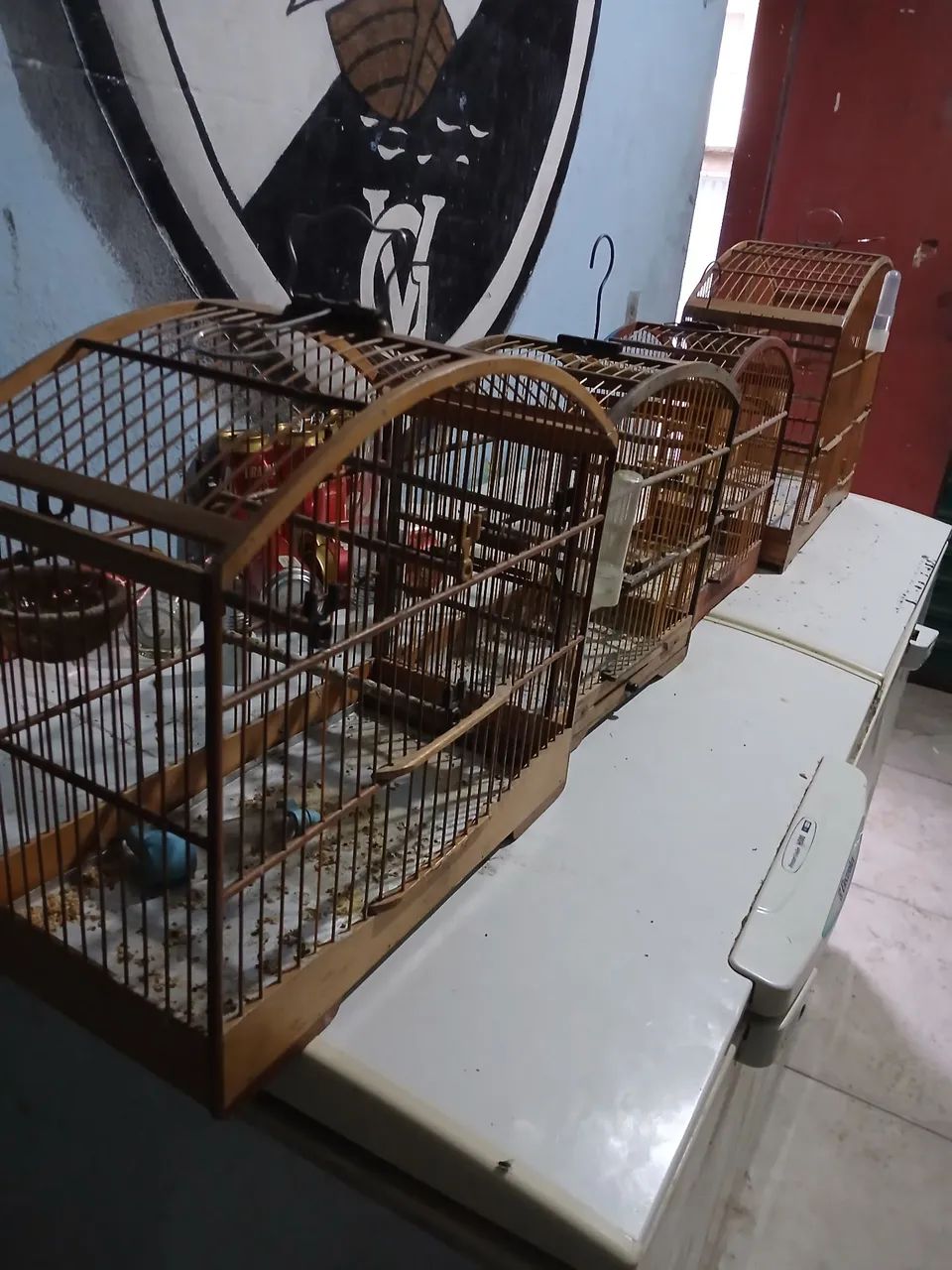 Quatro gaiolas usadas - Foto 5