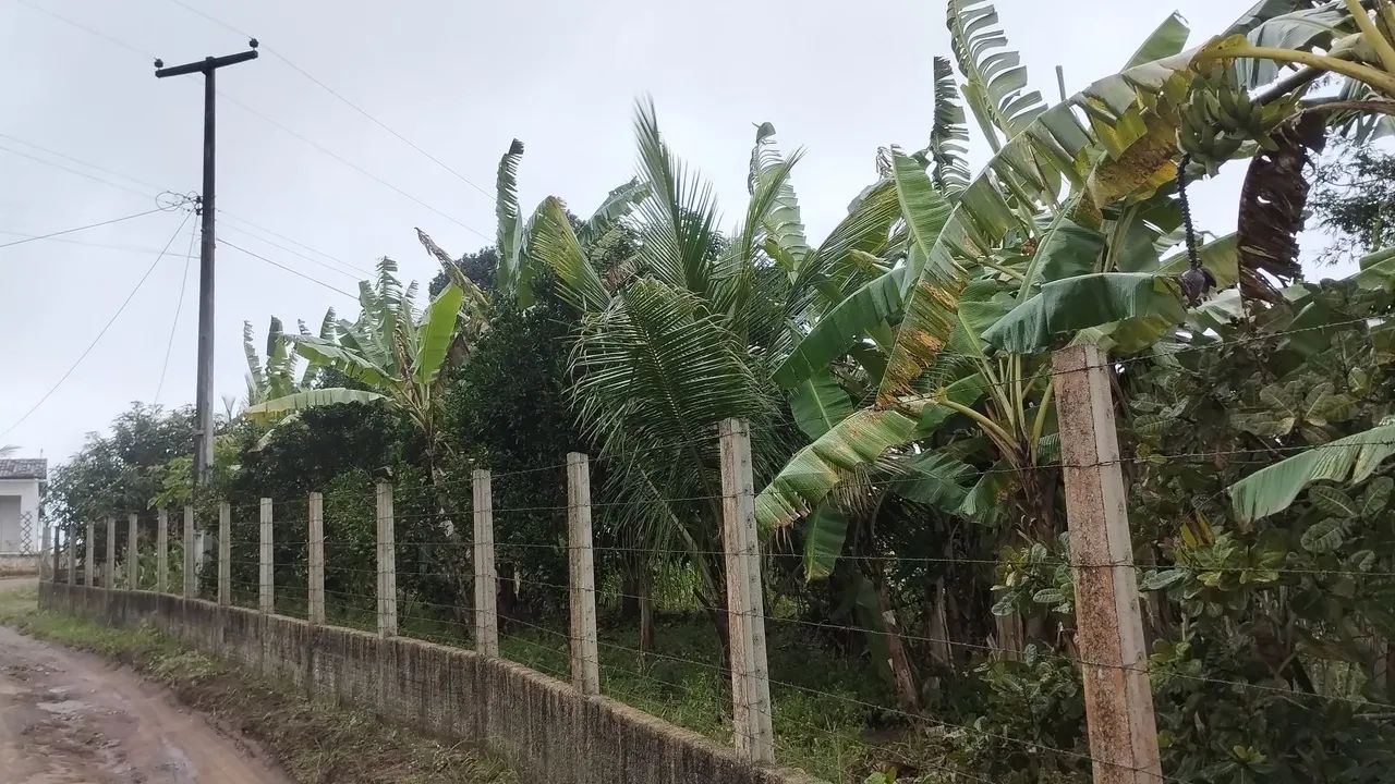 Sitio em Alagoa Nova  - Foto 5