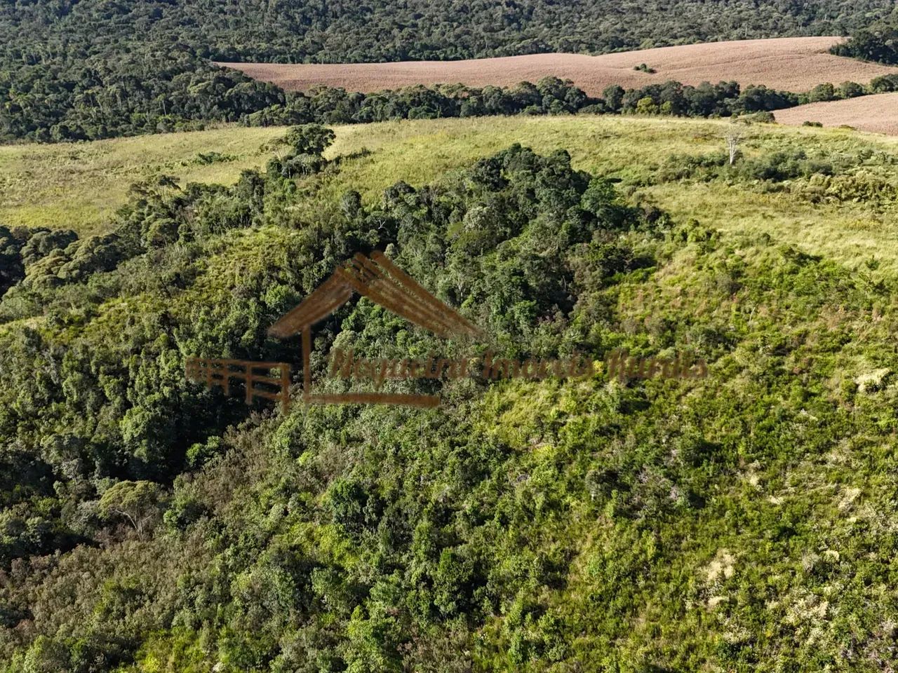 Fazenda para área de reserva na região de Guapiara-SP - Foto 3
