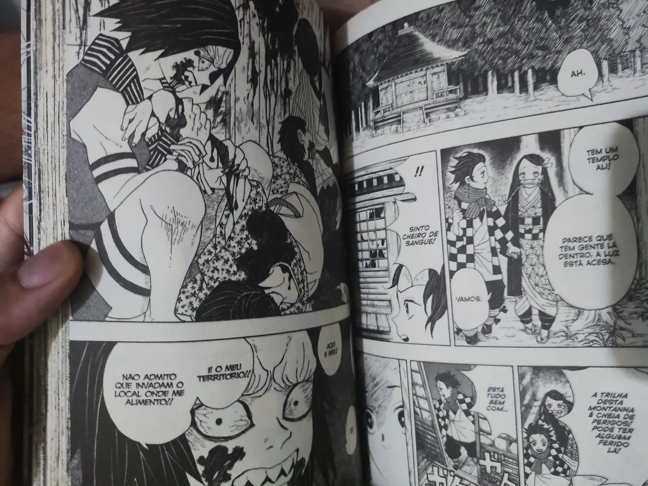 Demon slayer  - Foto 2