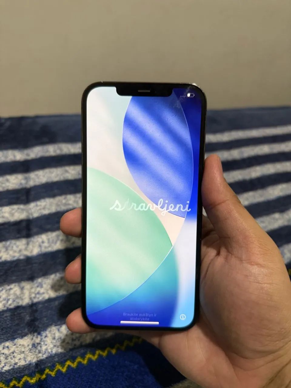 iPhone 12 Pro Max 256Gb