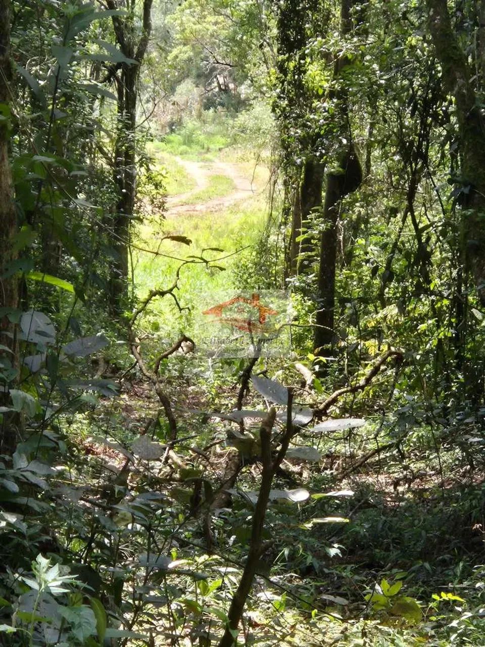 Chácara, caminho Vila Elvio- Piedade - R$ 60 mil, - Foto 5