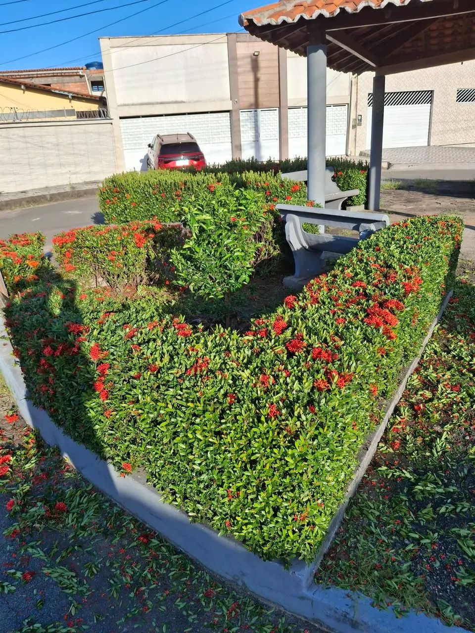Roçagem, jardinagem, poda e corte de grama. - Foto 4