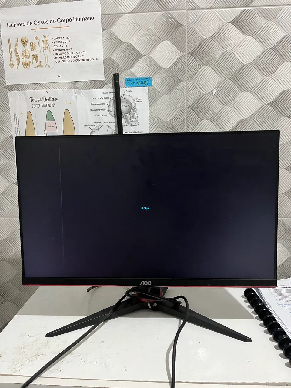 Monitor AOC 24? Full HD em Perfeito Estado