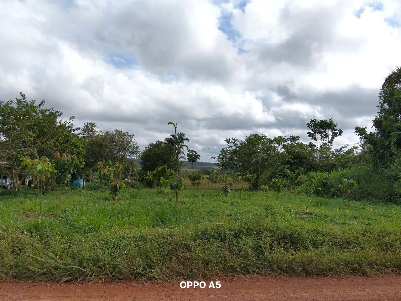 Terreno a venda  - Foto 3